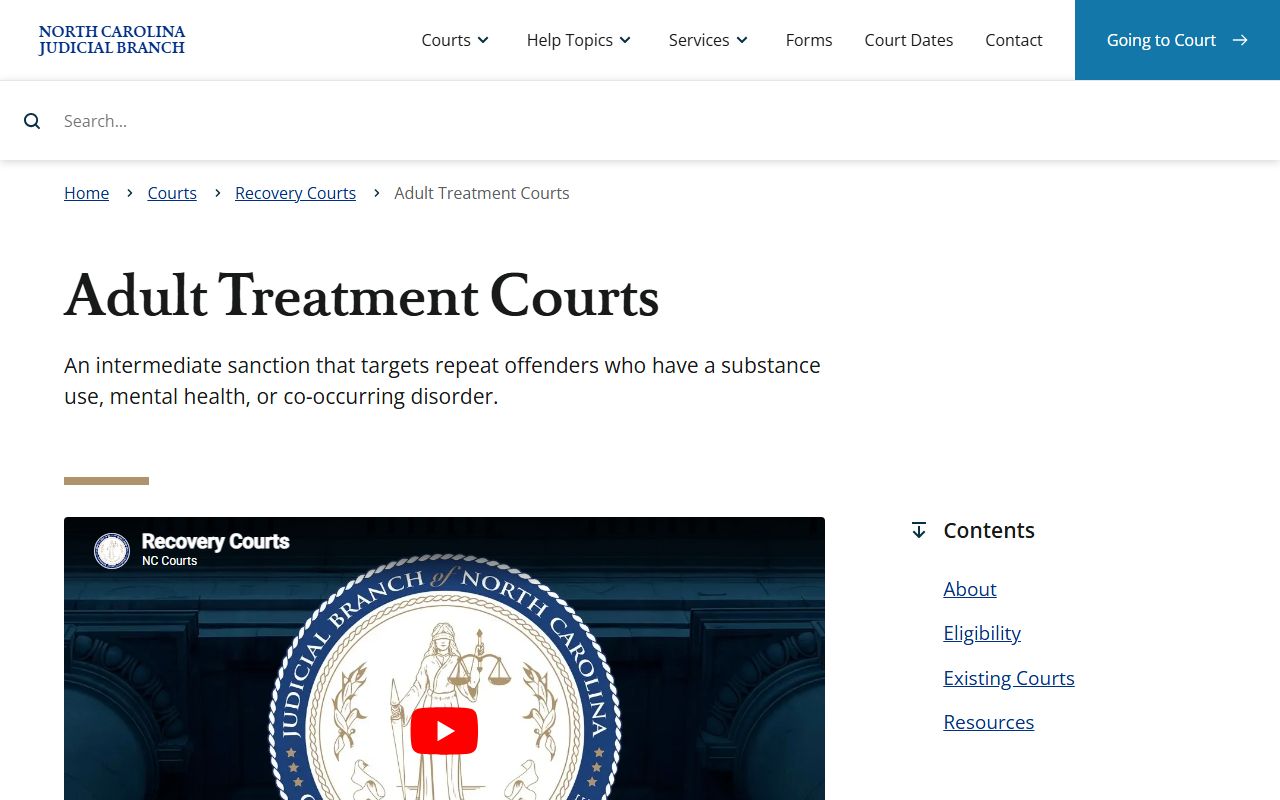 Clay County Superior Court records adult treatment court context