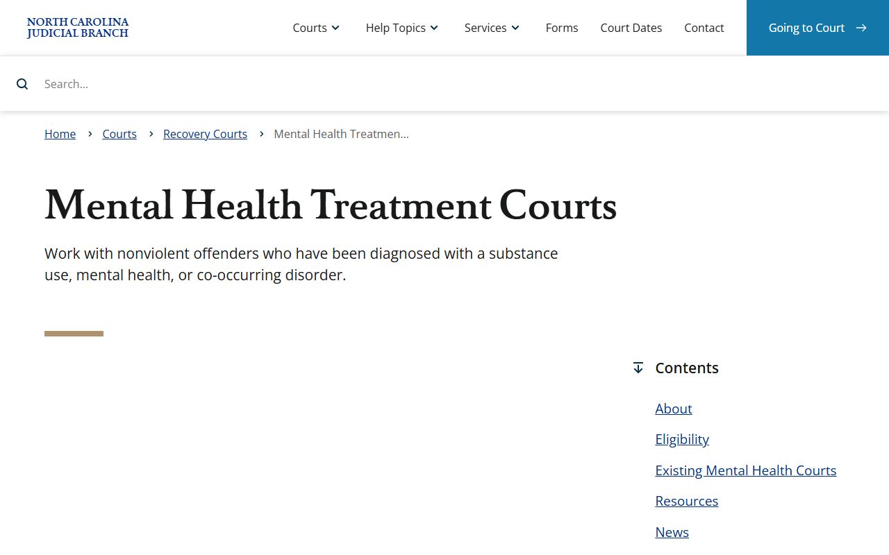 Clay County Superior Court records mental health court context